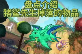 盘点介绍猪鲨掉落的物品 盘点介绍猪鲨掉落的物品视频封面