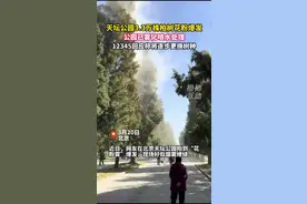北京天坛公园3.3万株柏树花粉爆发，公园已雾化喷水，12345回应称将逐步更换树种视频封面