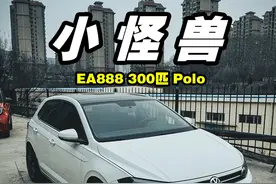 极致的扮猪吃虎！300匹的小Polo你们怕不怕 移植三代EA888，轮上260匹，真·陆地小飞机，爱了
#ea888 #大众polo #高尔夫gti #奥迪s3 #改装车