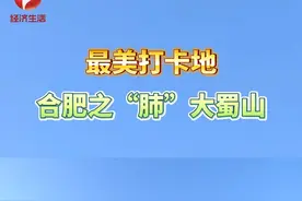 合肥大蜀山国家森林公园被大家称为“合肥之肺”。现在正值春季，阳光明媚，微风和煦。