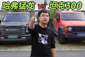 燃油车终究败给了新能源？哈弗猛龙vs坦克300