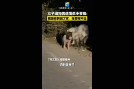 7月23日，福建福州，女子遛狗偶遇落单小香猪：“猪跟着狗回了家，撵都撵不走。”视频封面