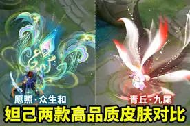妲己年限皮肤【愿照众生和】对比无双皮肤【青丘九尾】有点尴尬呀