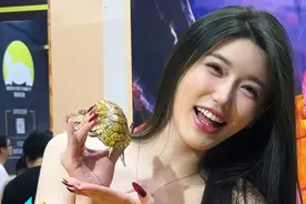 名龟汇聚，一口气看完52种龟！和大家一起沉浸式逛龟！ 有曾经1000万一对的龟，也有现在128万一只的龟，上百种龟你养过几种呀？#养龟人 #水族 #爬宠视频封面