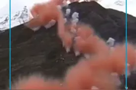 始祖鸟“炸山”引众怒！始祖鸟母公司盘前跌超10%，安踏股价一天蒸发77亿#始祖鸟 #股票