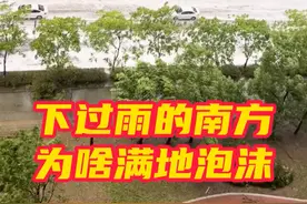 #近期南方街道积水为何满是泡沫   近日，我国华南地区受台风侵袭，接连暴雨。有人注意到雨后道路积水产生白色泡沫，看上去像洗衣液漏了。其实，这是因为我国南方林荫道常见树种中的无患子树被台风吹断后，大量无患子落入地面，无患子的果皮中含有天然的皂苷，落在地上被车碾碎后，再遇到积水就会产生泡沫。#上海暴雨