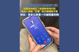 11月20日  浙江，主人上班时想狗了给狗狗打电话，结果发视频忘了给狗狗号码打码，电话一夜被“打爆”狗子困得起不来，网友：有史以来第一只被网暴的狗。#狗狗故事 #萌宠成精了 #网暴有多么可怕 #会接电话的狗狗 #萌宠