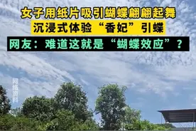 女子用纸片吸引蝴蝶翩翩起舞，沉浸式体验“香妃”引蝶，网友：难道这就是“蝴蝶效应”？#蝴蝶 #香妃 #招蜂引蝶之招蜂术 #美丽河南视频封面