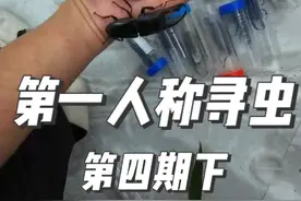 第一人称寻虫-第四期下 夜晚看老杨惊险上树寻虫#夜探 #寻虫