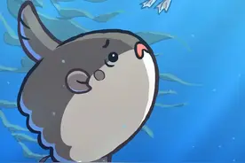 圆滚滚的翻车鱼 翻车鱼（Mola mola）可以长到超过3米，体重超过2000公斤，从2.5毫米的刺状幼虫开始成长。它在深海和浅水区之间移动觅食，并且身上常常寄生着超过40种寄生虫。有时，它会游到水面寻求海鸟的帮助，以去除外部寄生虫。#科普 #鱼类 #鱼类科普 #动画 #鱼类知识