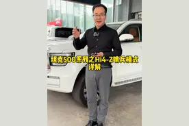 关于坦克500HI4-Z的哨兵模式，一条视频看完就明白了！ #坦克500 #坦克500ota升级 #坦克500hi4z