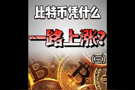 比特币会是美元的新锚定物吗？#比特币 #美元 #王大沁