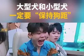 大型犬和小型犬一定要保持狗距，不然就会被“口水洗头” #沙一汀 #余承恩 #你就宠ta吧