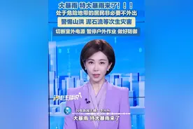 大暴雨、特大暴雨即将到达！防御指南来了：处于危险地带的居民非必要不外出，警惕山洪、山体滑坡、泥石流等次生灾害，做好安全防护！#特大暴雨 #非必要不外出 #暴雨预警