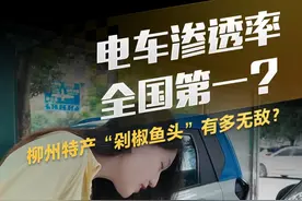 电车渗透率全国第一？柳州特产“剁椒鱼头”有多无敌？#懂车帝抢先试驾 #柚子不开车