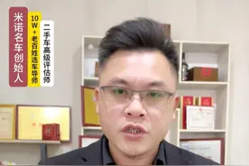 2024年年度总销量排行榜 #二手车 #说车聊车 #练手代步车 #年度总结