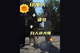 一只德牧犬经历了三位训犬师的训练，问题不仅未解决，反而咬伤了家中的小女孩。这个真实的故事揭示了幼犬早期教育和正确训练方式的重要性！#德牧 #幼犬 #训犬 #狗狗行为心理视频封面