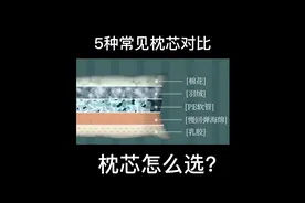 市面上5种常见枕芯材质对比，你选哪一个？#枕芯 #乳胶枕 #记忆棉