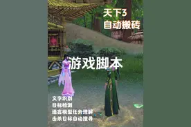 天下 3 游戏脚本 自动搬砖 #天下3游戏 #游戏脚本制作 #游戏搬砖