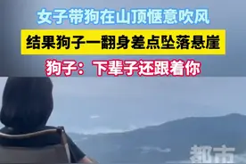 女子带狗在山顶惬意吹风，结果狗子一翻身差点坠落悬崖！#萌宠  #惊险一幕  #动物的迷惑行为  #狗子视频封面