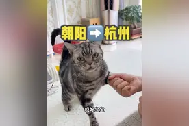 北饭南调 总有一种味道能让你想起，那个容纳灵魂的故乡。#北饭南调 #在外的游子 #青年创作者成长计划  #抖音精选 #好好吃饭大赛