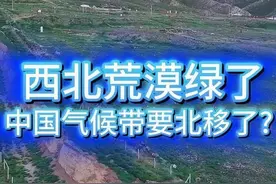 西北荒漠绿了！中国气候带真的北移了？ 西北荒漠居然绿了视频封面
