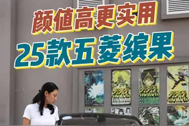 2025款五菱缤果：更精致，更实用 #25款五菱缤果 #五菱 #五菱缤果 #代步车 #新能源电动汽车