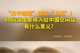 “虫中翘楚”首次“上天”！48段涡虫即将入驻中国空间站，有什么意义？视频封面