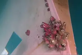 打磨机真是水下清理藤壶的大杀器 #解压 #科普 #涨知识