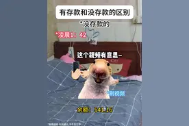 有存款和没存款的区别 #猫meme #猫meme小剧场 #存款 #余额 #年轻人视频封面