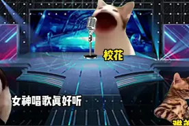 校园歌唱比赛你灵机一动#猫meme #音乐分享 原唱：