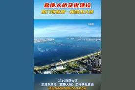 嘉庚大桥获批建设，厦门将新增一座跨海大桥！#厦门 #跨海大桥 #建设视频封面