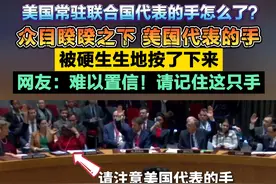 美国常驻联合国代表的手怎么了？众目睽睽之下 美国代表的手 被硬生生地按了下来！网友：难以置信！请记住这只手！#联合国  #美国  #巴以冲突 #以色列 #抖音小助手