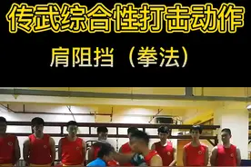 传统武术综合性打击动作 #传武 #传统武术 #飞龙李建文 
视频封面