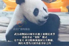 武汉动物园宠粉福利来啦！6月21日至8月31日，中高考生、生日游客免费入园！#武汉动物园 #亲子游玩好去处 #武汉旅游攻略视频封面