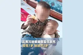 云南牟定两兄妹被蜂群蜇伤致死，哥哥7岁妹妹才2岁（新京报）#大象主播说