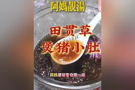 春天又湿又闷，田贯草煲猪小肚妈妈们快煲起来 #为你煲汤 #广东靓汤 #食疗养生 #春天吃什么