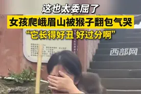 这也太委屈了！女孩爬峨眉山被猴子翻包气哭，“它长得好丑啊 好过分啊” #峨眉山 #猴子 #趣味视频封面