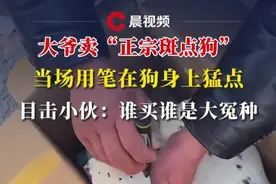 大爷卖“正宗斑点狗”，当场用笔在狗身上猛点，目击小伙：谁买谁是大冤种视频封面