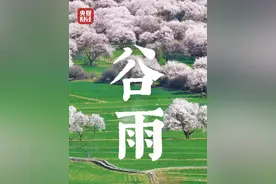 4月20日，#春季的最后一个节气来了  ！#谷雨把诗意揉进春天里  #一谷作气抓住春天的尾巴视频封面