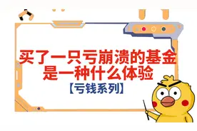 买了一只亏奔溃的基金是一种什么体验