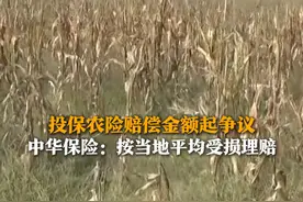 2月10日（采访），山东枣庄，种植户刘先生去年遭遇极端天气，300余亩玉米减产严重，投保中华财险农业险，理赔金额产生争议。经帮办采访后，保险公司表示愿意继续协商。视频封面