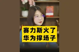 赛力斯销量爆了、股价飙了，巨大危机却没人敢说。 #一口气读懂经济学 #赛力斯 #新能源车 #掘金2025