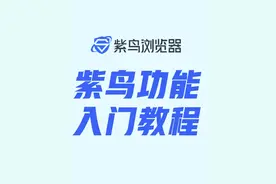 一个视频！带你快速上手#紫鸟浏览器 
311万跨境账号的选择视频封面