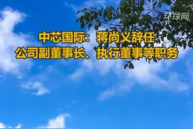 中芯国际：蒋尚义辞任公司副董事长、执行董事等职务视频封面
