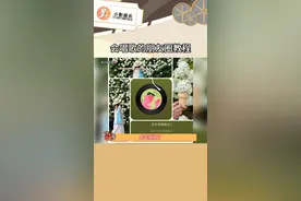 会唱歌的朋友圈教程 这波我必要装个大的#朋友圈 #教程 #音乐 #拍照教程 #高级朋友圈