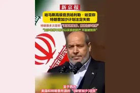 哈马斯高级官员哈利勒·哈亚称特朗普加沙计划注定失败  特朗普多次宣称“美国将接管、拥有加沙地带” “加沙地带不是可以买卖的财产 不能被放弃”视频封面