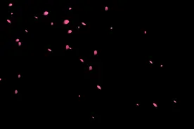 玫瑰花瓣飘落#特效素材 #手机摄影 #剪映剪辑 #后期制作