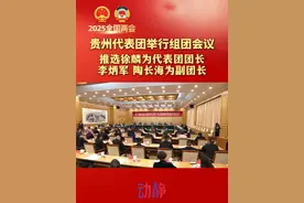 贵州代表团举行组团会议 推选徐麟为代表团团长 李炳军陶长海为副团长
#2025全国两会视频封面