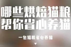 哪些烘焙猫粮能帮你省心养猫 #猫粮测评#猫粮推荐性价比高排行榜